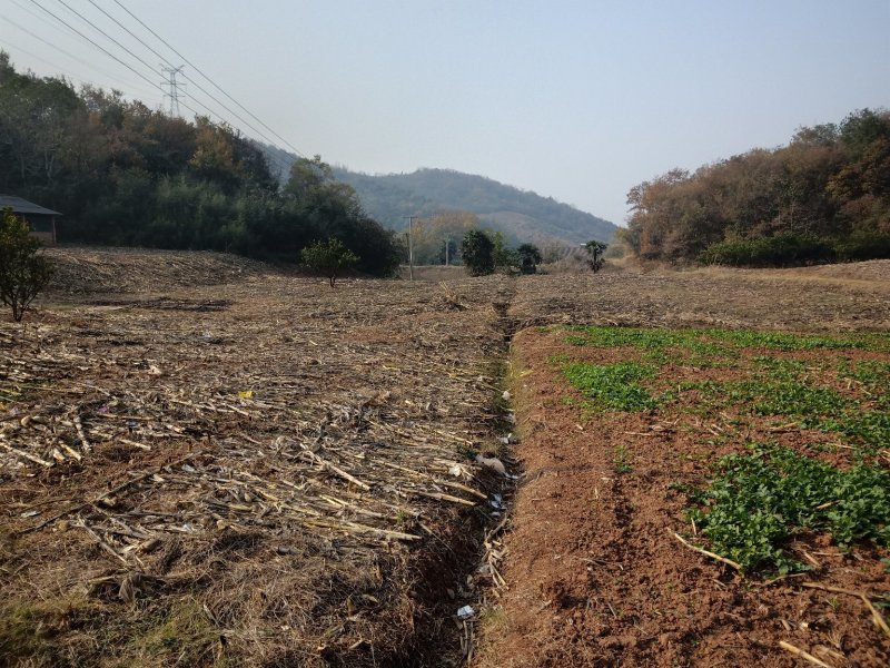 山地出租