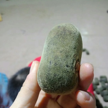 五年陈化橘红压果，假一赔十