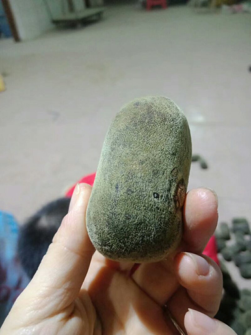 五年陈化橘红压果，假一赔十