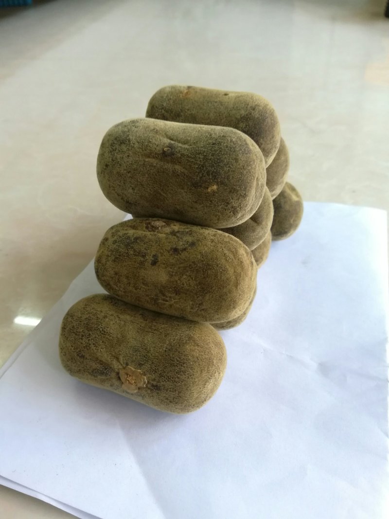 五年陈化橘红压果，假一赔十