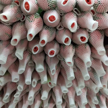 玫瑰