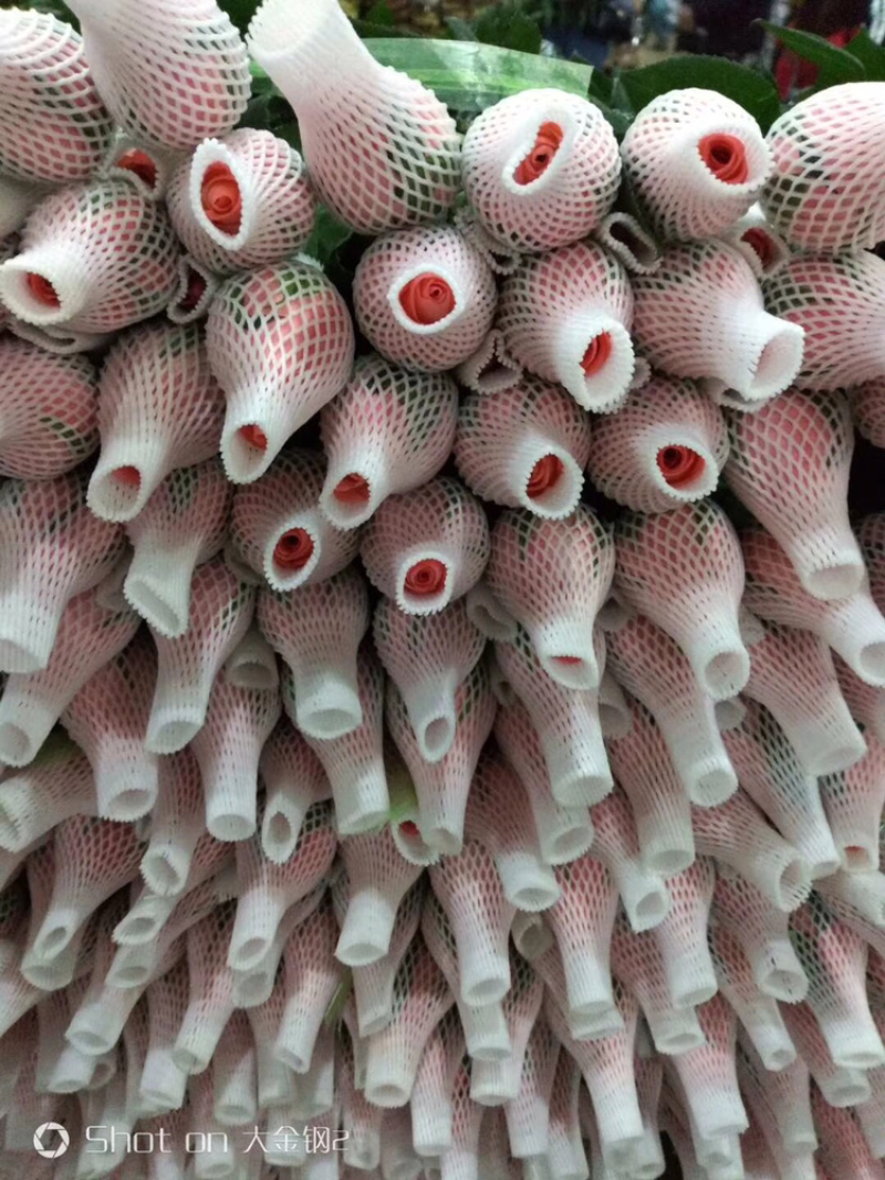 玫瑰