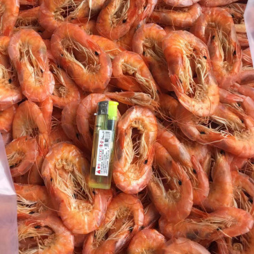 精品优质烤虾补钙佳品