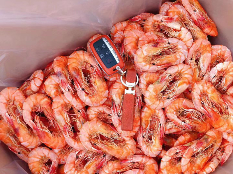 精品优质烤虾补钙佳品