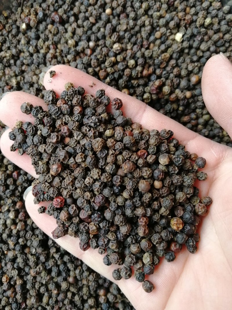 批发进口白胡椒海南白胡椒