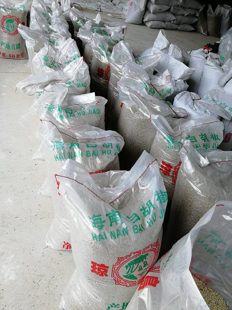 批发进口白胡椒海南白胡椒
