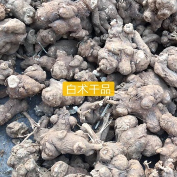 白术、无硫精品，规格齐全，白术纯干货，无硫毛选货，量大从优