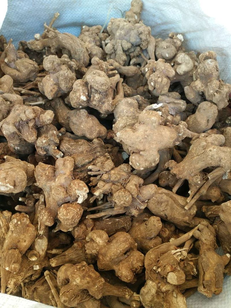 白术、无硫精品，规格齐全，白术纯干货，无硫毛选货，量大从优