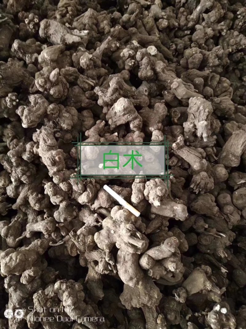 白术、无硫精品，规格齐全，白术纯干货，无硫毛选货，量大从优