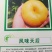 新品种桃树苗风味天后黄油蟠极早熟黄油蟠6-6