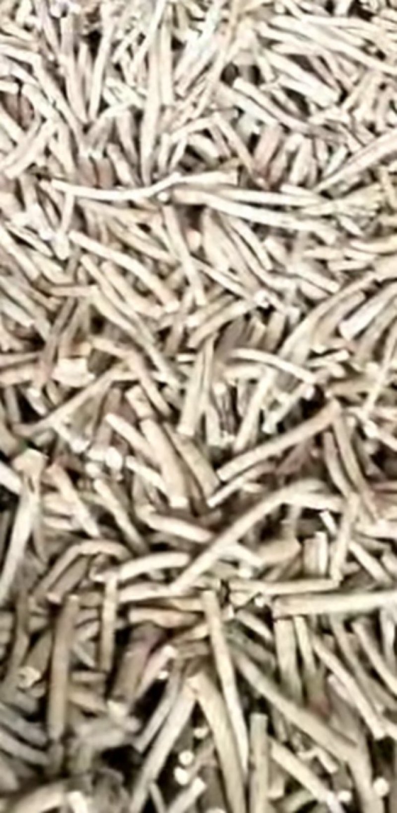 白芍各种规格精品选条一手货源，产地批发价供应