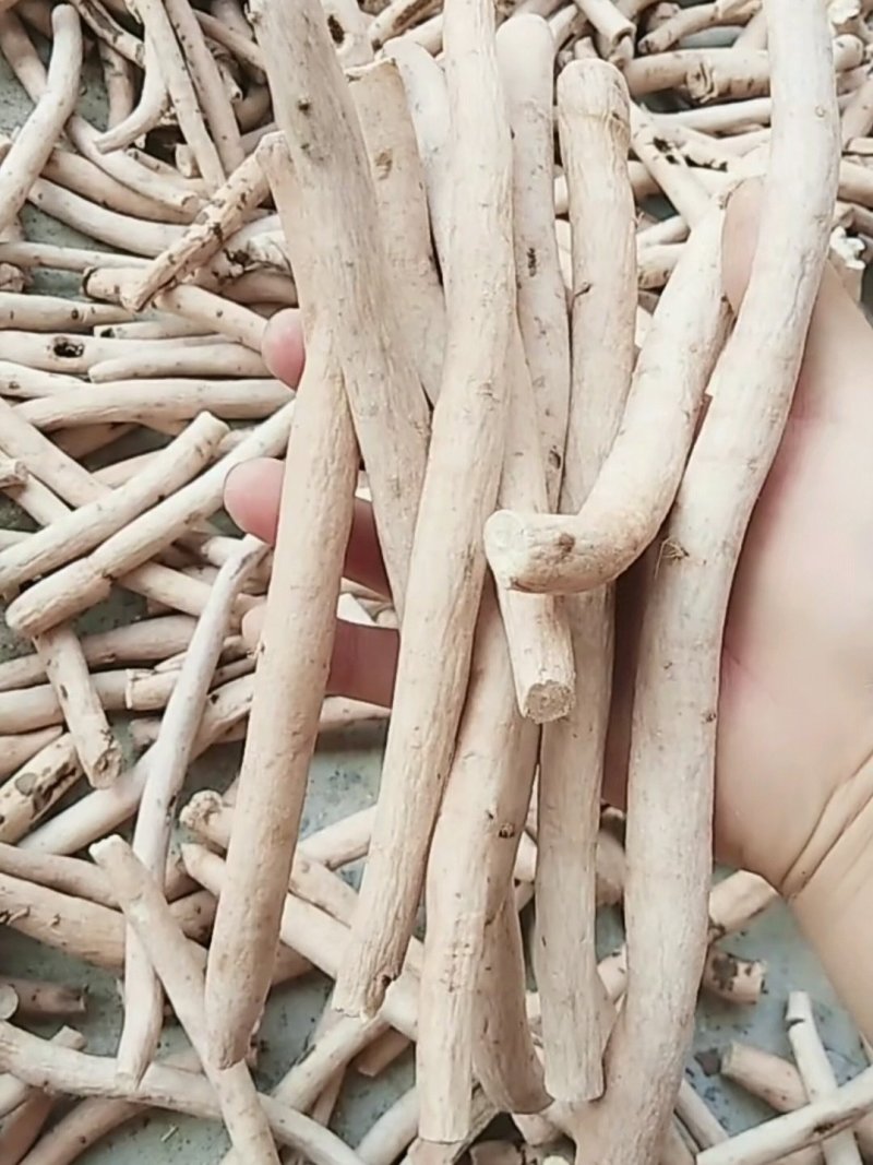 白芍各种规格精品选条一手货源，产地批发价供应
