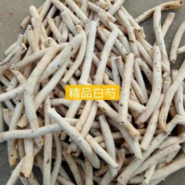白芍各种规格精品选条一手货源，产地批发价供应