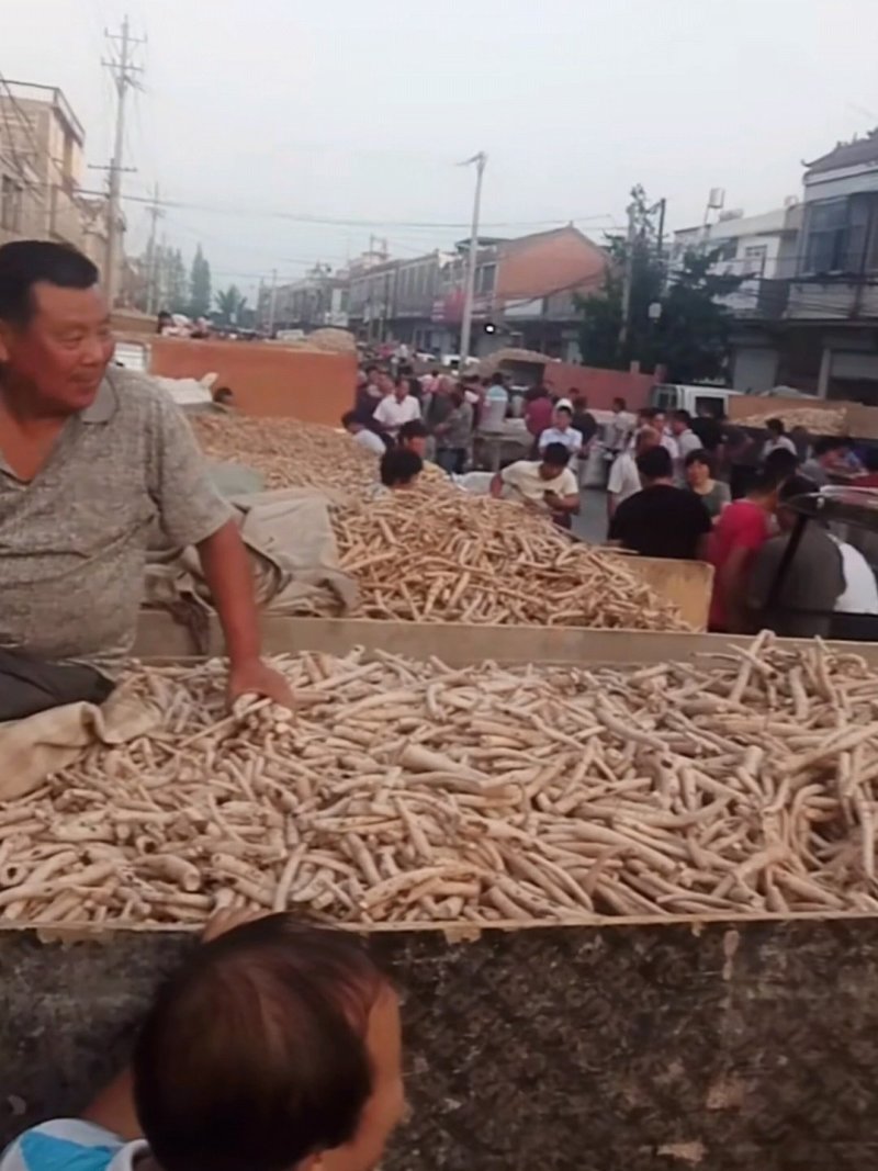 白芍各种规格精品选条一手货源，产地批发价供应
