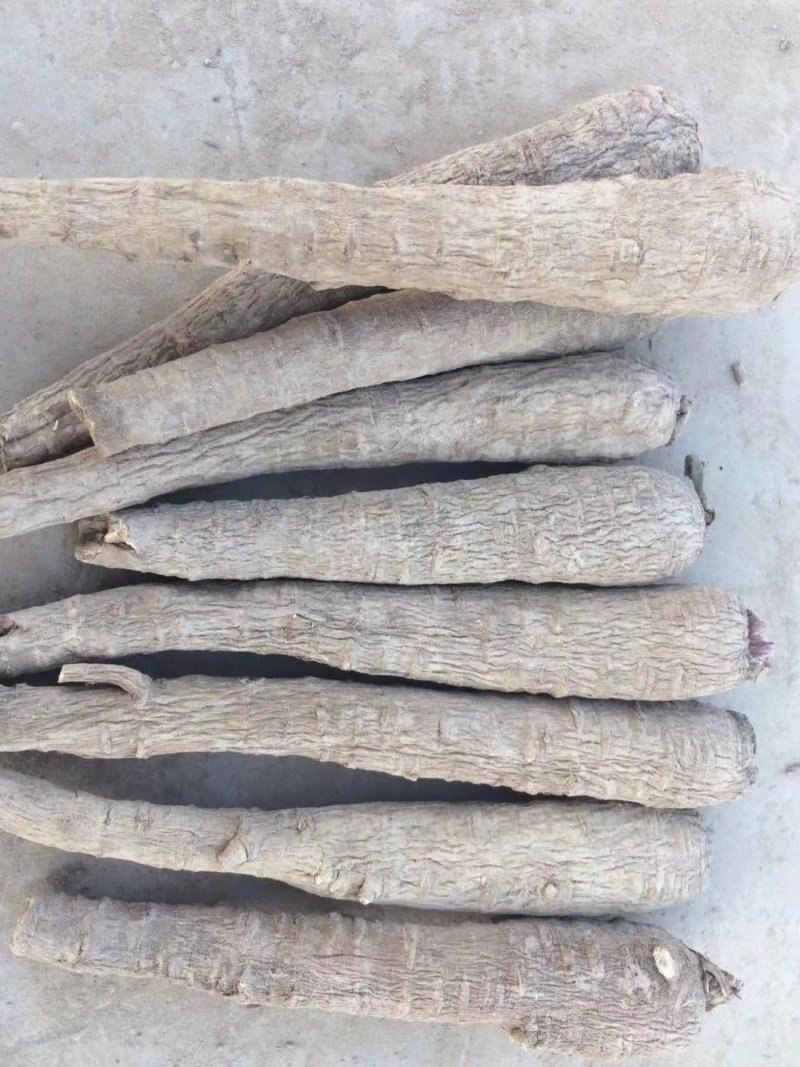 白芷、各种规格、无硫个子、药厂投料、种籽