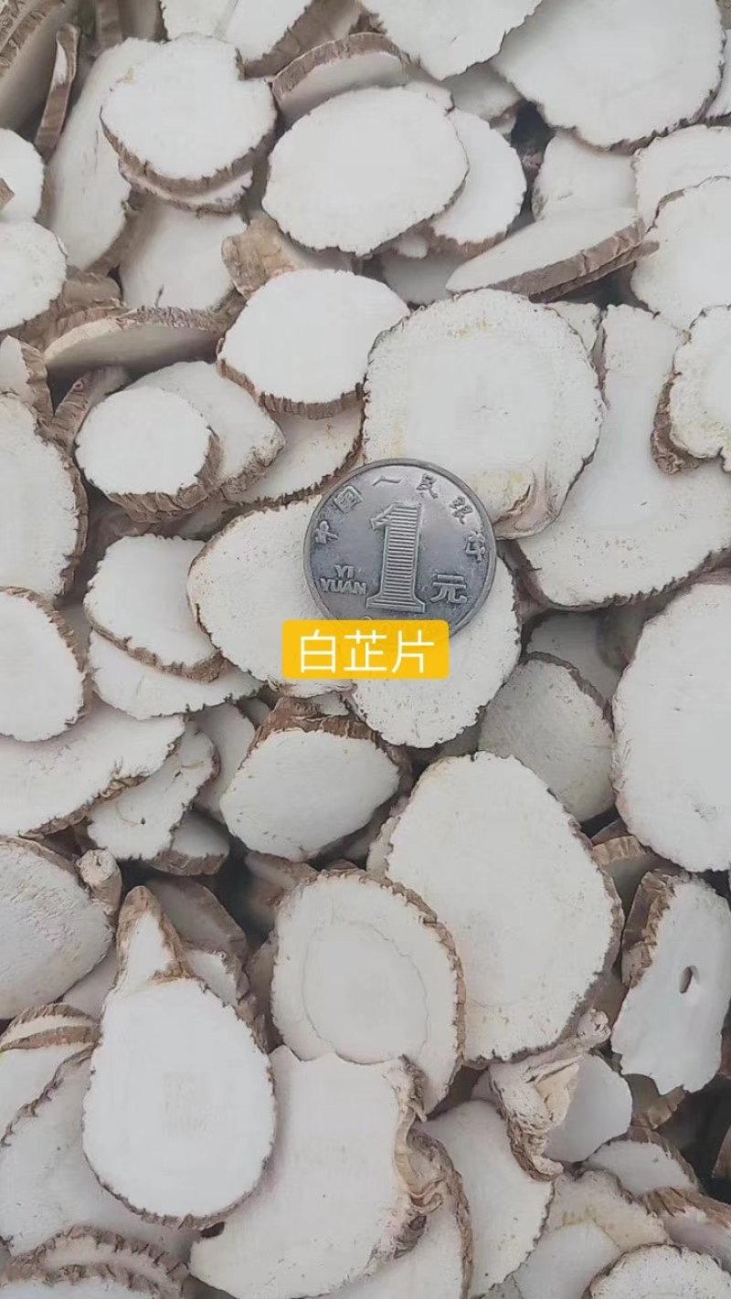 白芷、各种规格、无硫个子、药厂投料、种籽