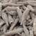 白芷、各种规格、无硫个子、药厂投料、种籽