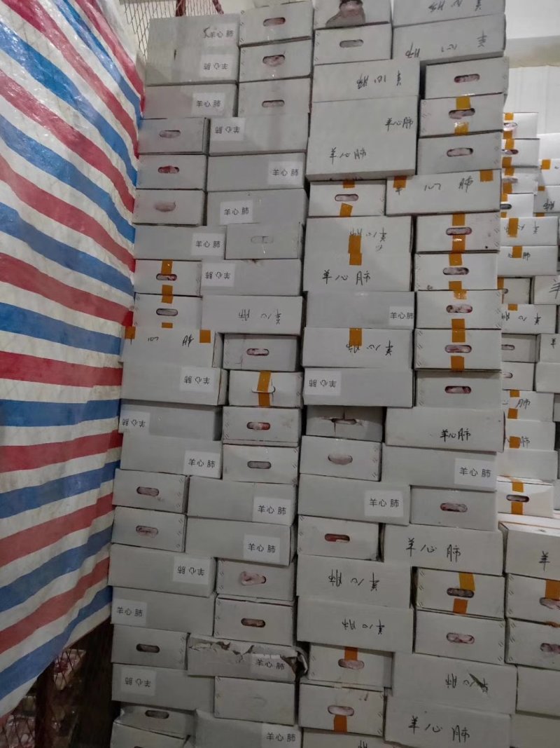 鲜冻羊心肺，定装10公斤