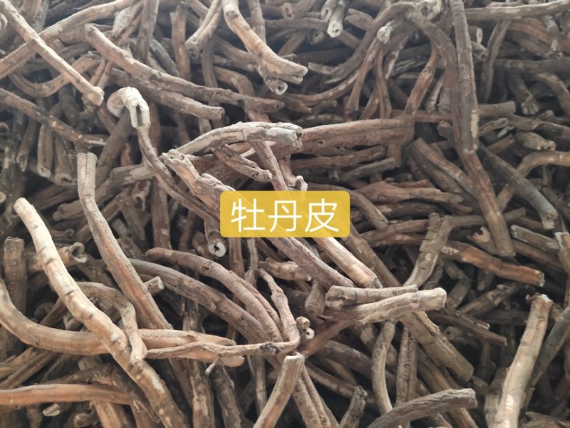牡丹皮、各种规格精品、投料一手货源，产地批发价供应