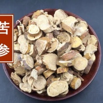 苦参片精选片大无硫苦参野生货正品质量