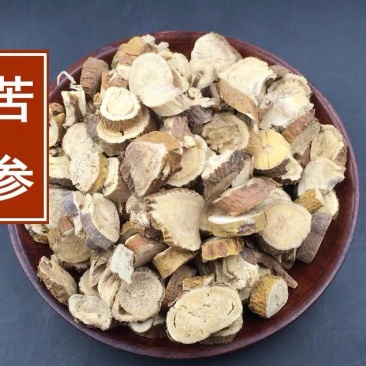 苦参片精选片大无硫苦参野生货正品质量