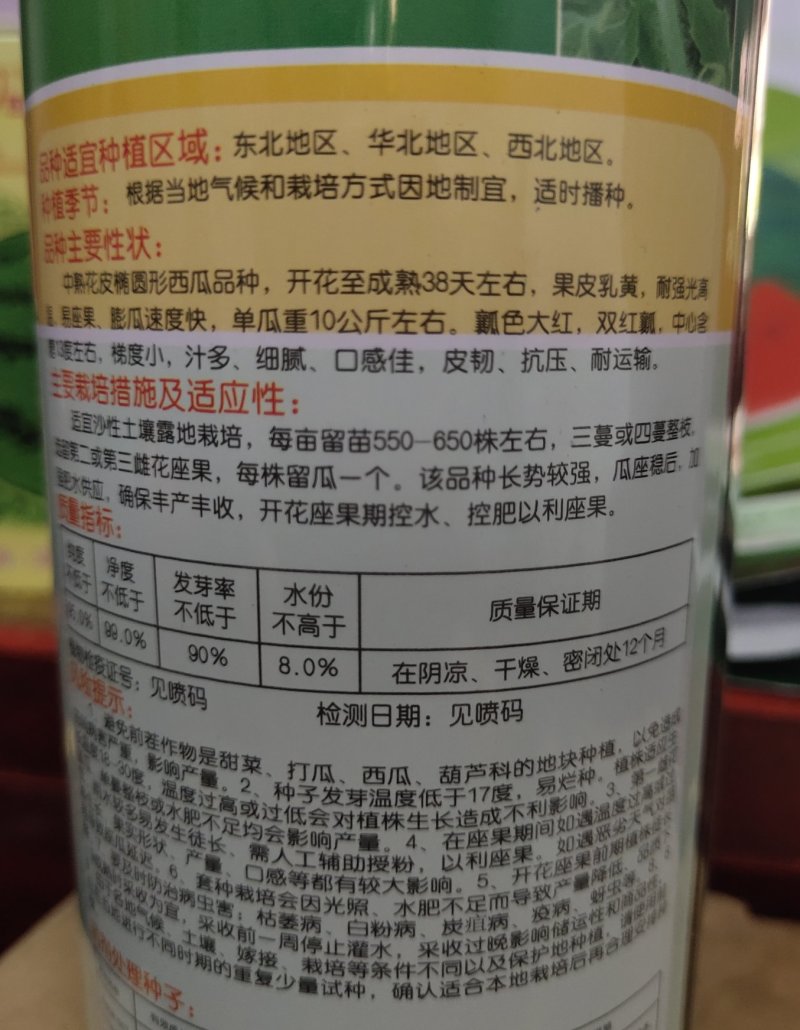 双红瓤金城五号西瓜种子中熟乳黄花皮大椭圆形皮韧高糖抗压耐