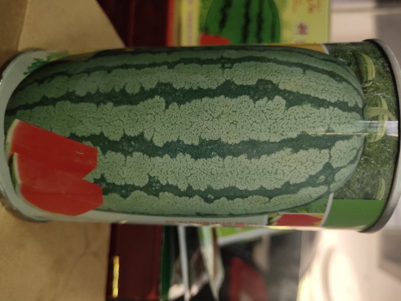 双红瓤金城五号西瓜种子中熟乳黄花皮大椭圆形皮韧高糖抗压耐