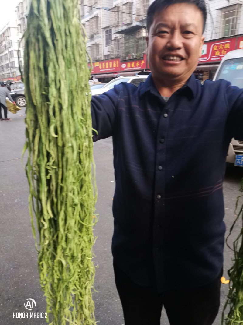贡菜干响菜2024年云南贡菜干蔬菜干脱水蔬菜