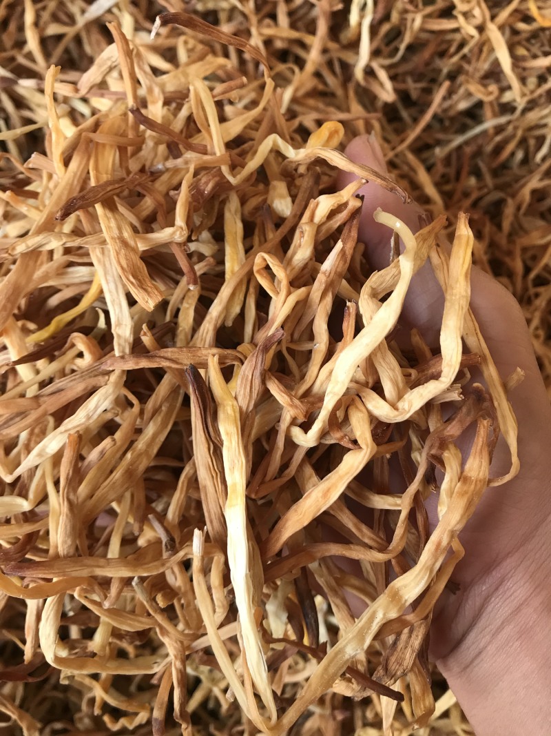 【优选】电商黄花菜地推电商用货