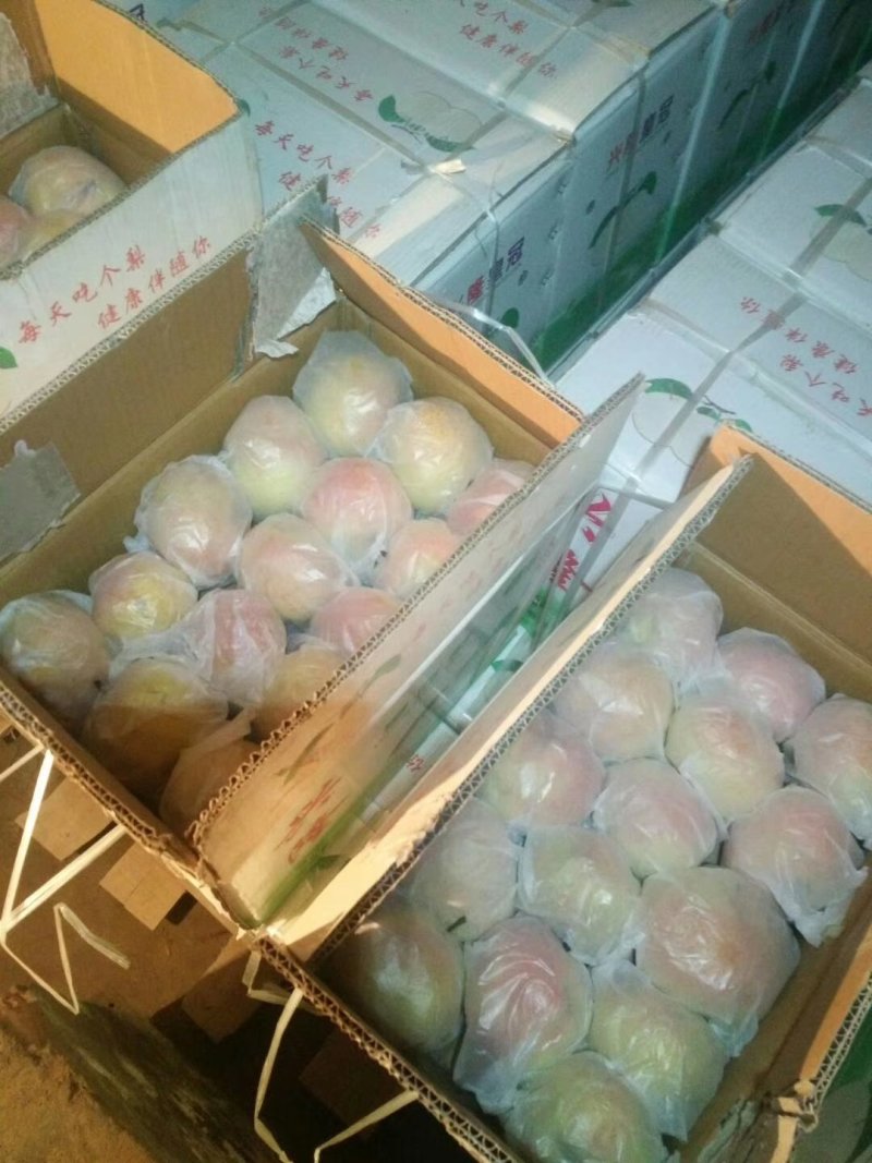 苹果梨内蒙古，自家果园，全部一级果品，河套苹果梨