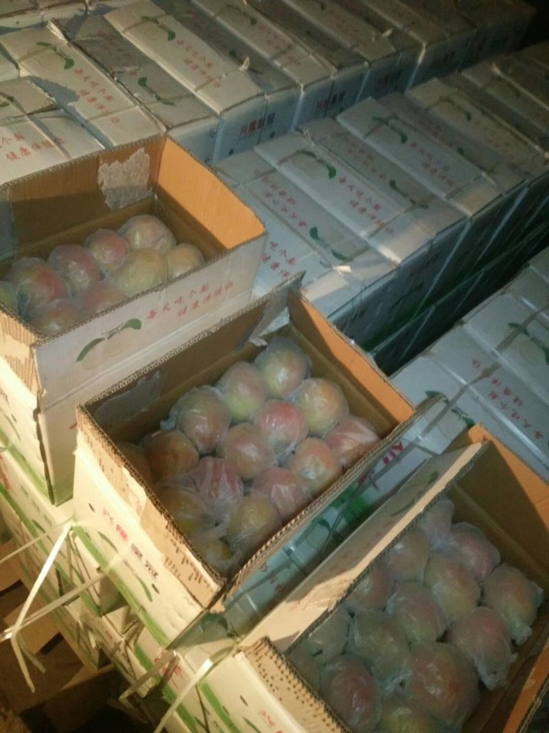 苹果梨内蒙古，自家果园，全部一级果品，河套苹果梨