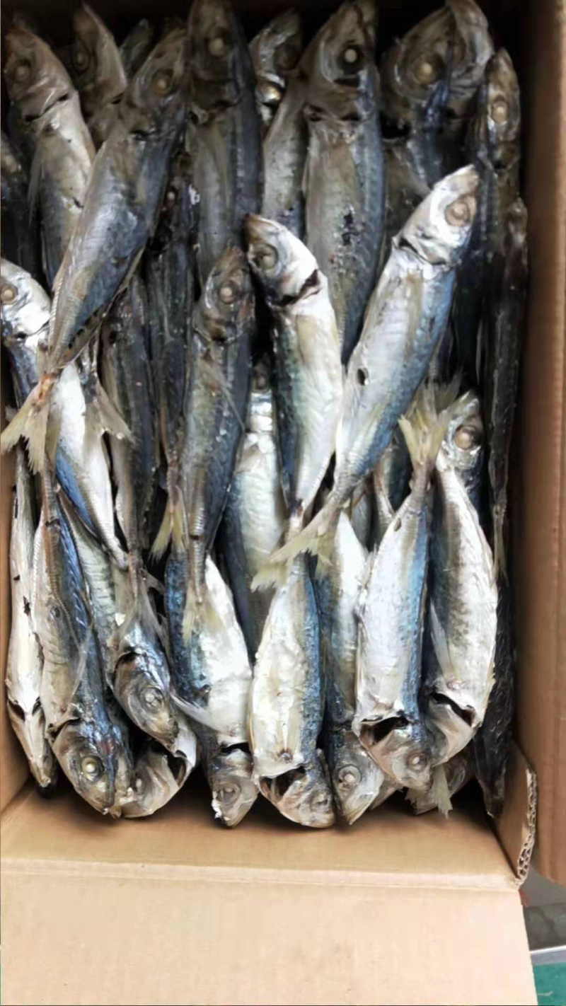 南澳岛，深海巴浪，农村人精心制作巴浪鱼干。