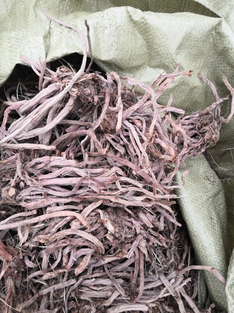 干货黄花菜根