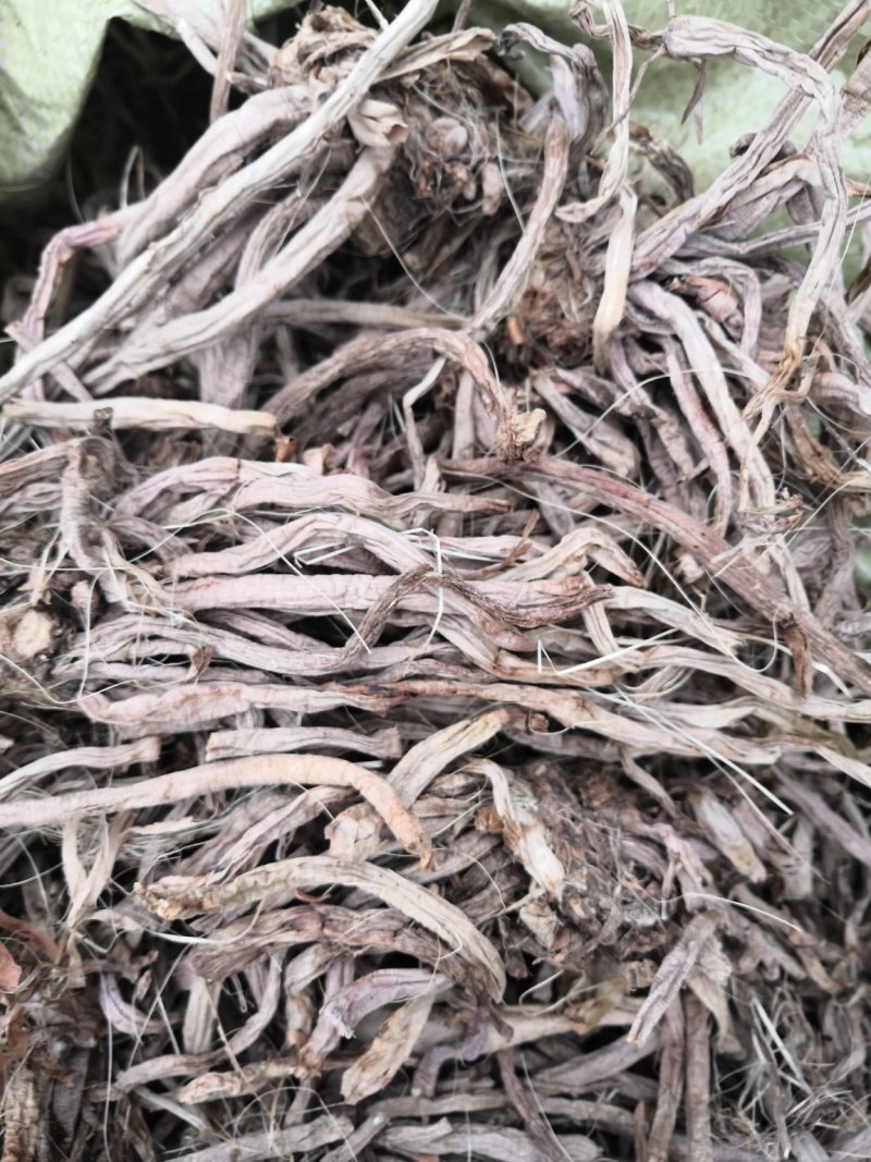 干货黄花菜根