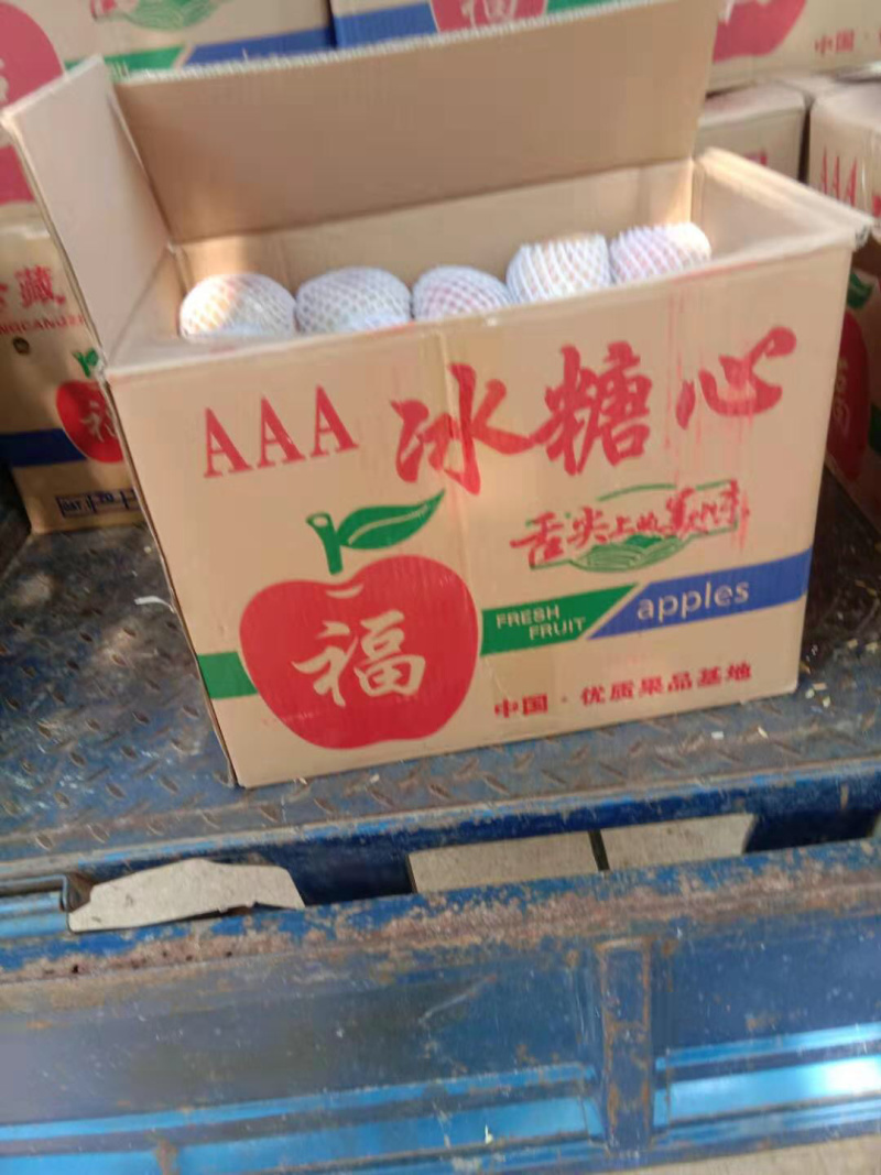 临猗苹果膜袋