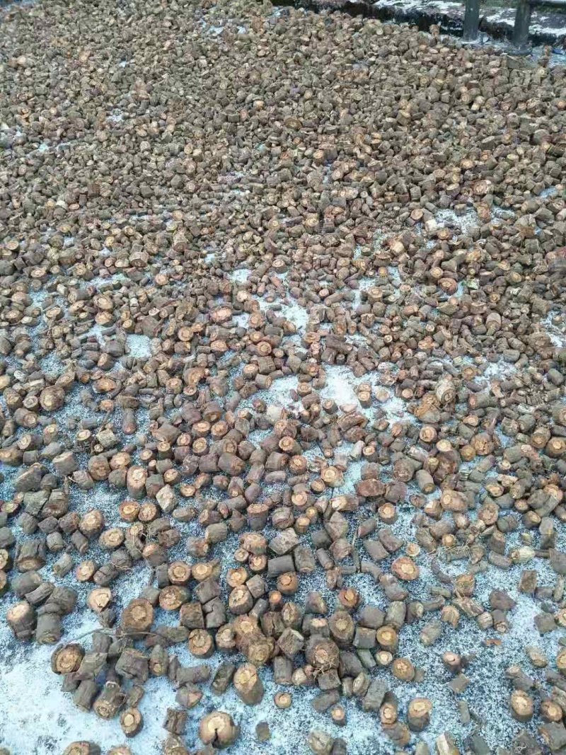 野生黑老虎根黑老虎根