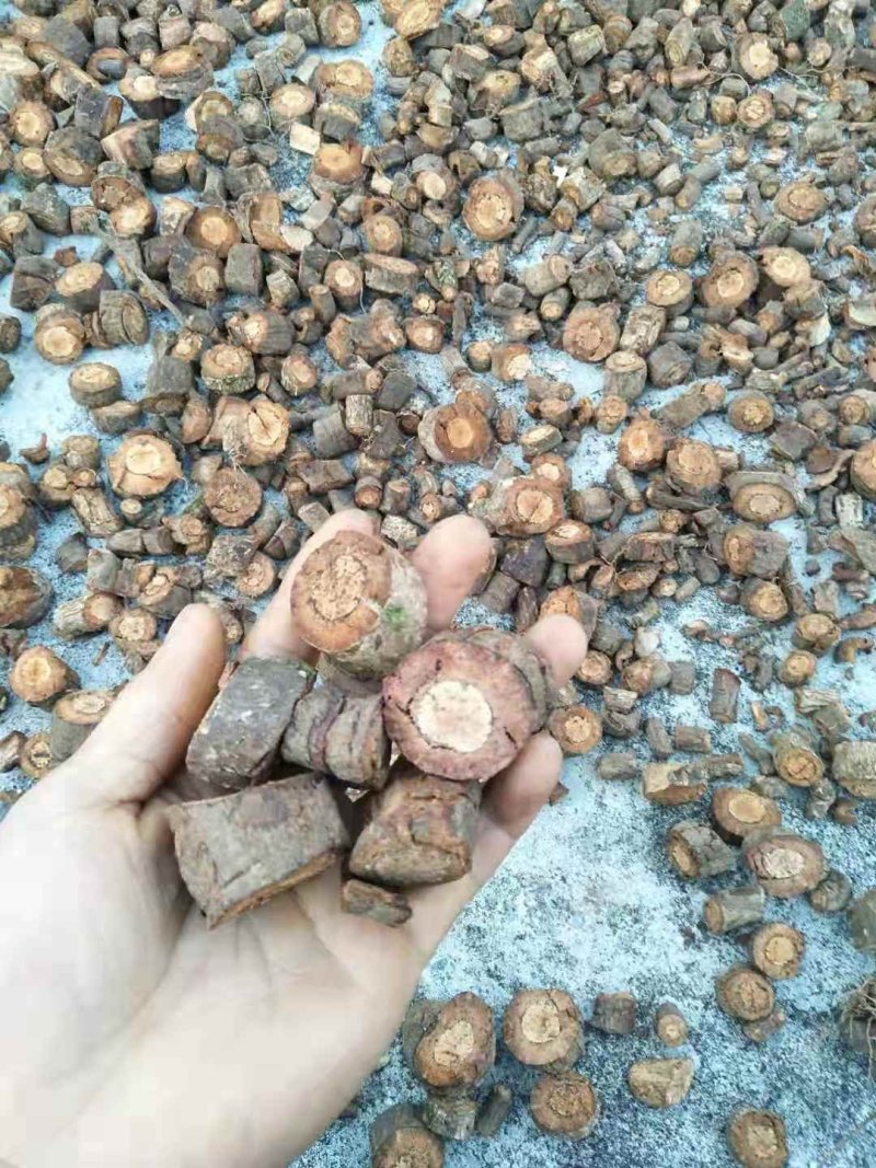 野生黑老虎根黑老虎根