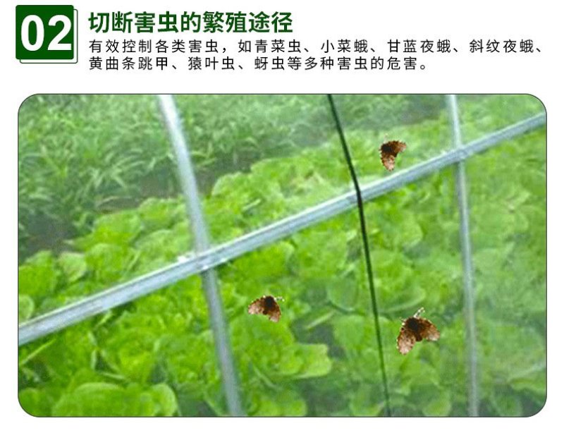 防虫网果蔬瓜菜大棚防虫网养殖场防虫网青蛙防虫网