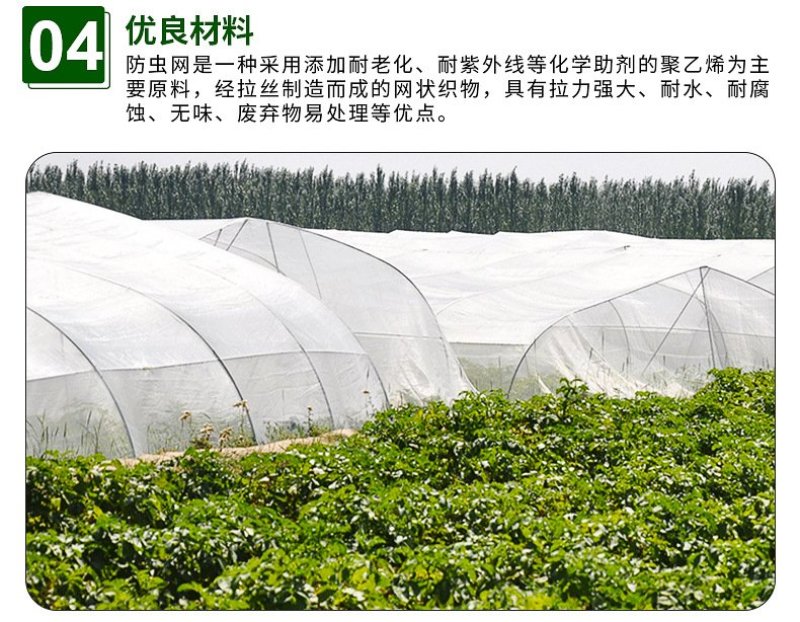 防虫网果蔬瓜菜大棚防虫网养殖场防虫网青蛙防虫网