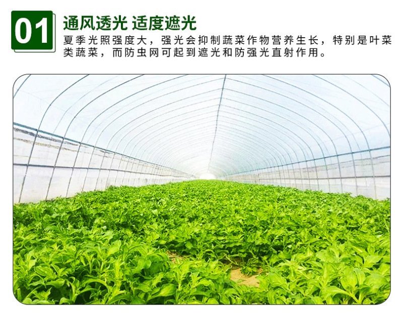 防虫网果蔬瓜菜大棚防虫网养殖场防虫网青蛙防虫网