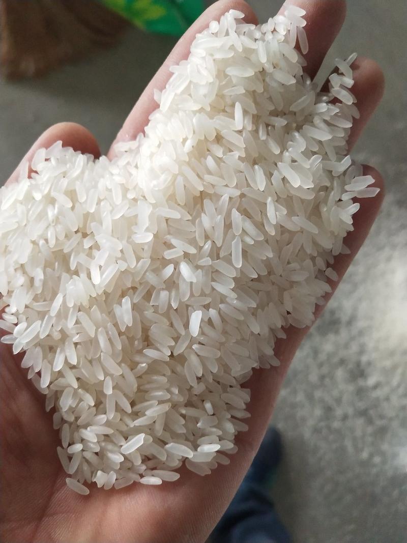 23年新米上市大米长粒香大米苏北长粒米做饭好米