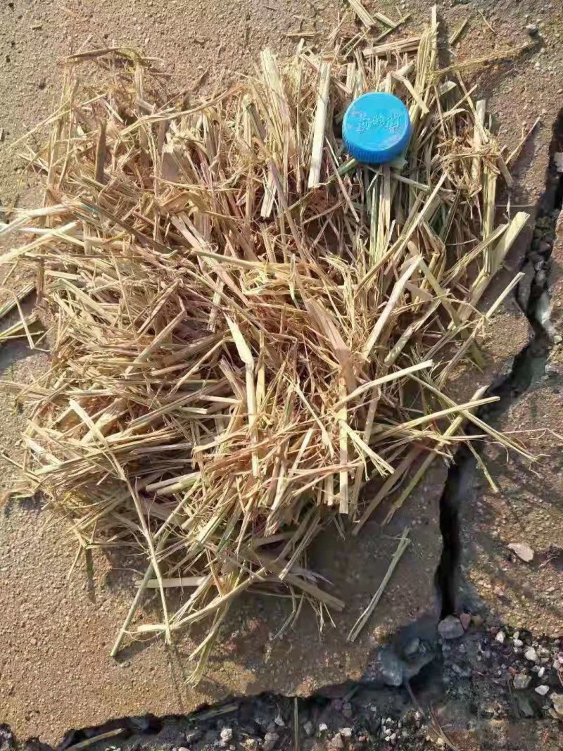 大量出售稻草