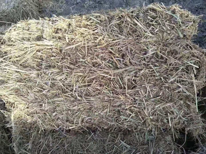 大量出售稻草