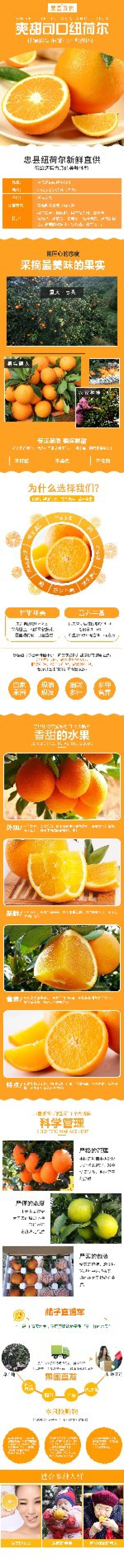 【顺丰包邮】福本脐橙甜橙一件代发现摘现发20斤装不催熟不打蜡
