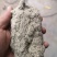 全颗毛胚绒
