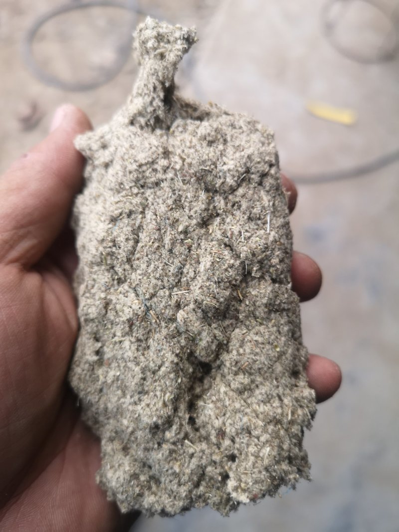 全颗毛胚绒