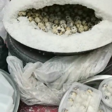 盐焗鹌鹑蛋新鲜美味采用各种中草药盐焗而成，营养丰富易吸收