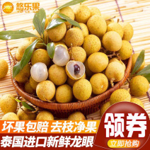 (泰国进口龙眼）龙眼新鲜桂圆新鲜水果现摘【一件代发】