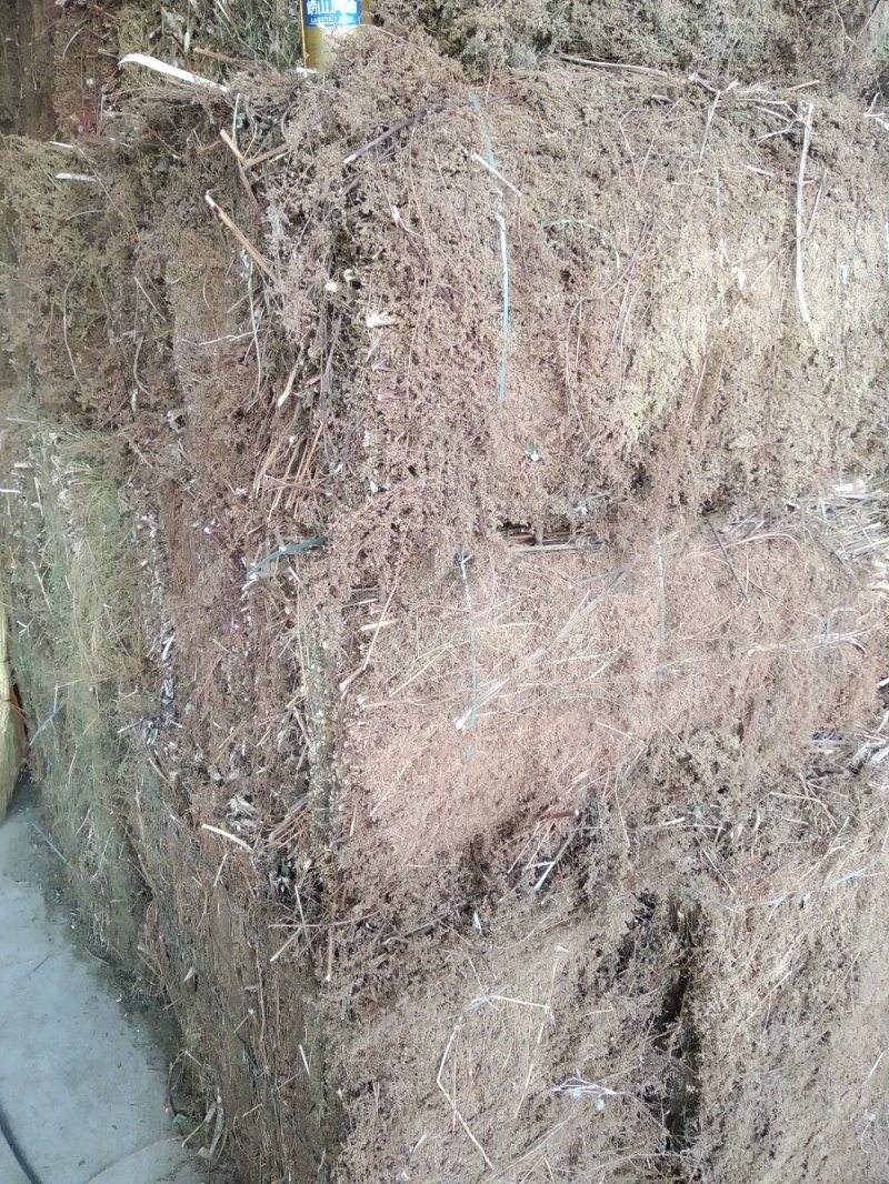 青蒿黄蒿上半截细杆子可切片加工货源充足