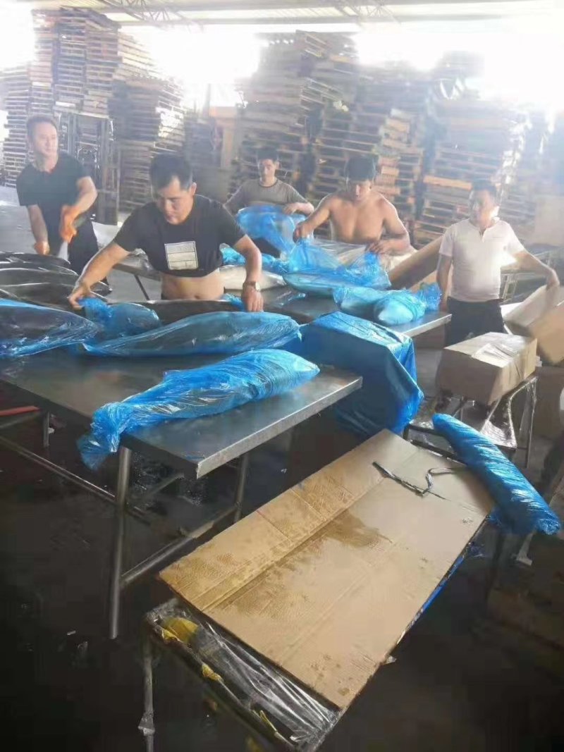 黄金鲅鱼，鲜活速冻，12到20斤，品种齐全量大更优惠